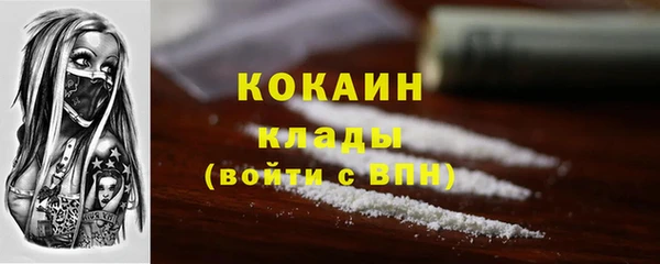 apvp Горняк
