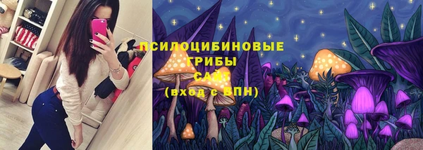 дмт Горнозаводск