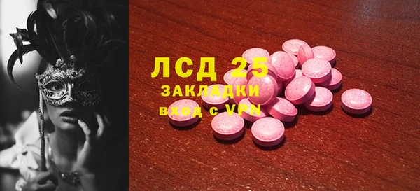 apvp Горняк