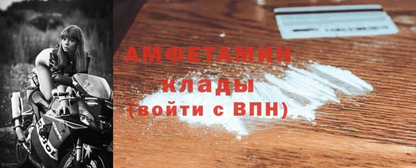 сатива Тобольск