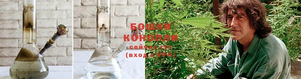 дмт Горно-Алтайск