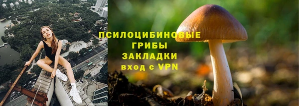 apvp Горняк